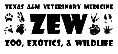 ZEW Logo ZEW Logo